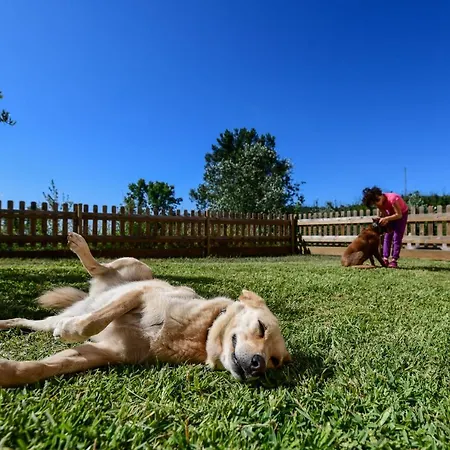 Villa Vale Do Ninho Nature Ferraria de Sao Joao
