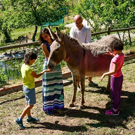 Villa Vale Do Ninho Nature Ferraria de São João