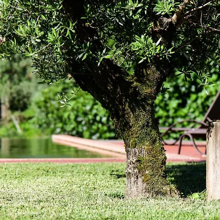 Vale Do Ninho Nature