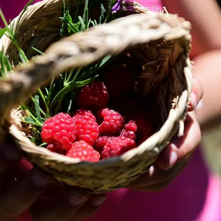 Vale Do Ninho Nature Villa Ferraria de Sao Joao