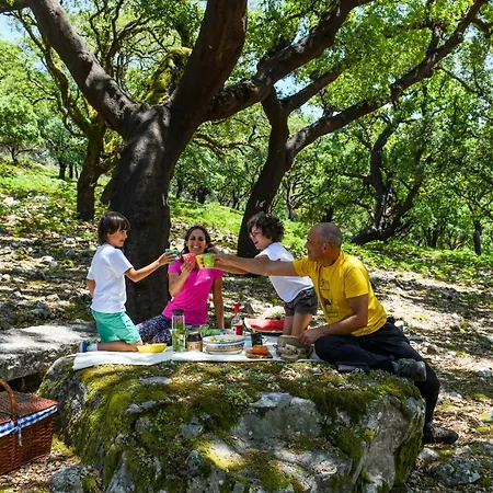 Vale Do Ninho Nature Villa Ferraria de Sao Joao