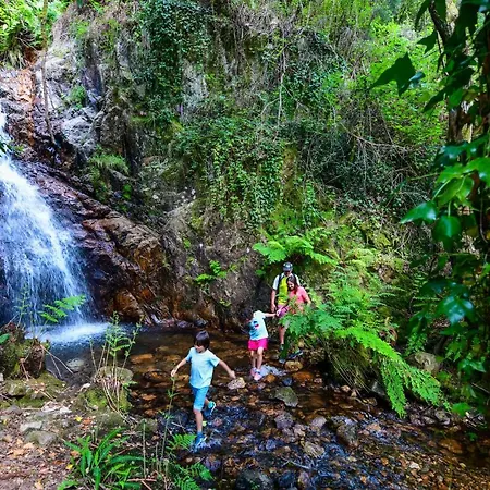 Vale Do Ninho Nature