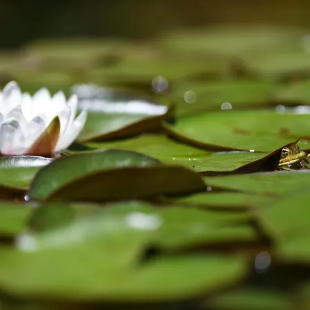 Vale Do Ninho Nature Ferraria de Sao Joao