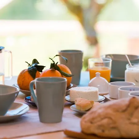 Vale Do Ninho Nature * Ferraria de Sao Joao