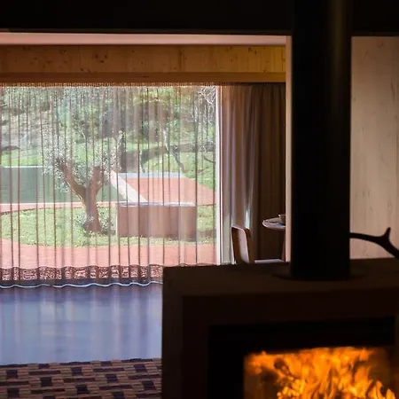 Vale Do Ninho Nature Ferraria de Sao Joao