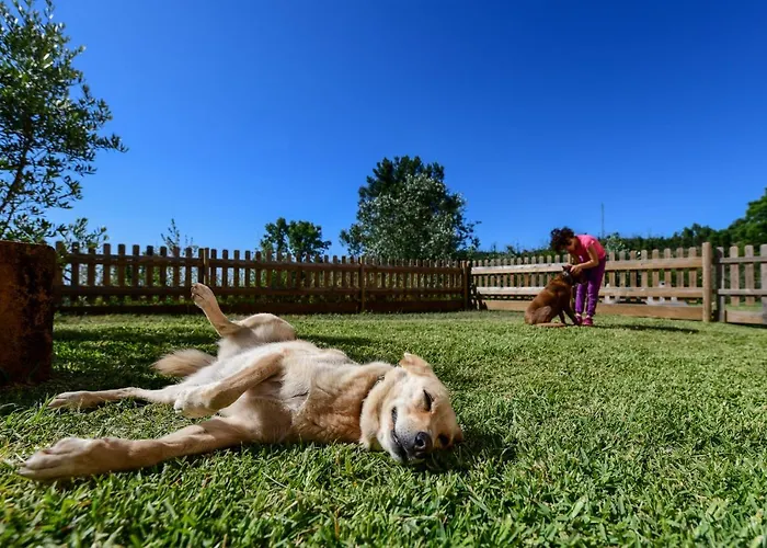 וילה Vale Do Ninho Nature Ferraria de São João