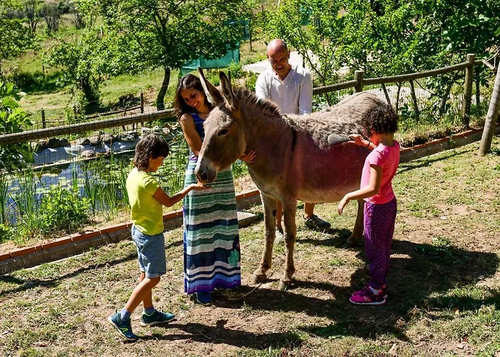 וילה Vale Do Ninho Nature Ferraria de São João