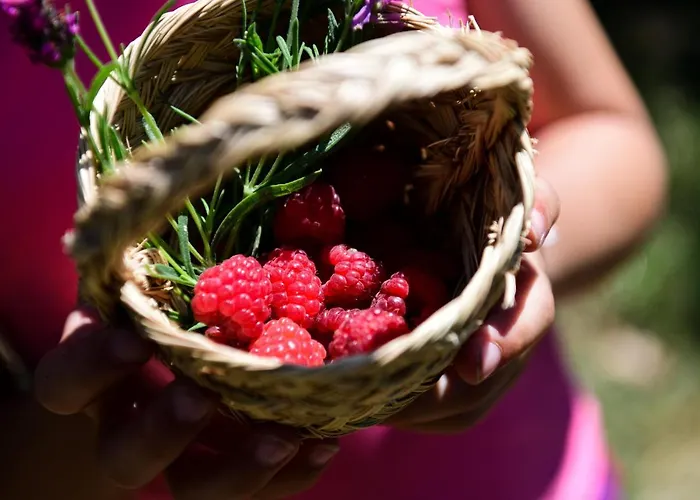 Vale Do Ninho Nature וילה Ferraria de São João