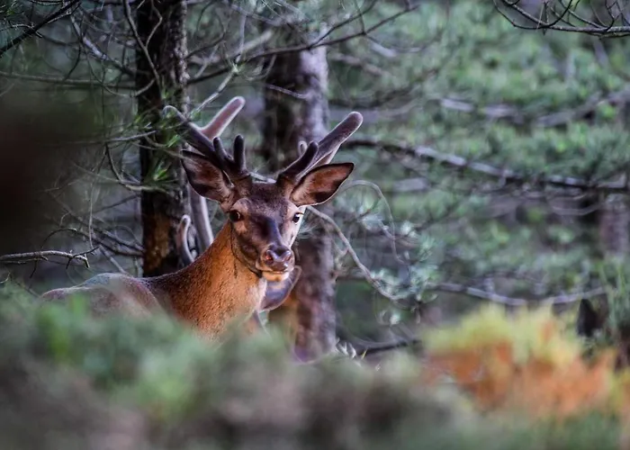 Vale Do Ninho Nature וילה *