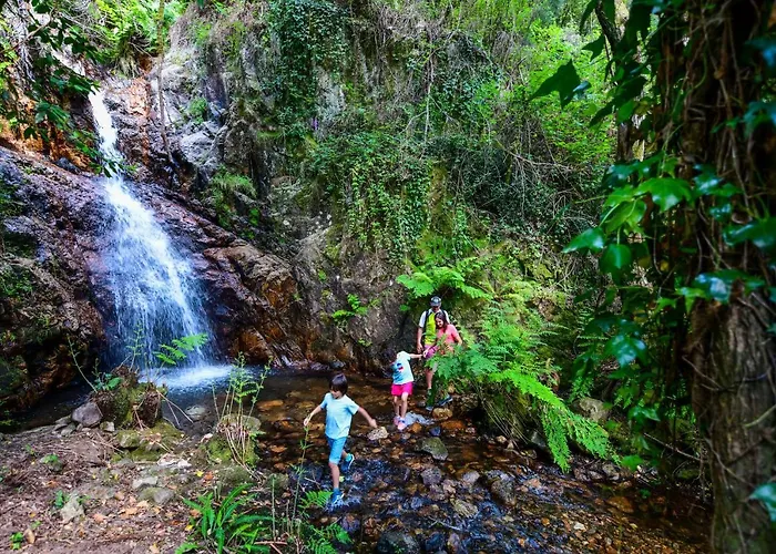 Vale Do Ninho Nature