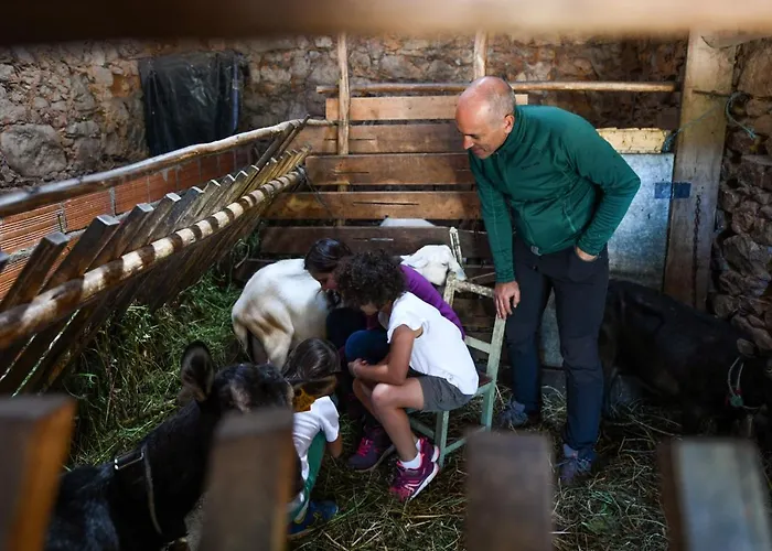 Vale Do Ninho Nature * Ferraria de São João